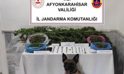 Jandarmadan uyuşturucu ve tarihi eser operasyonu