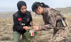 Kadın polisler, şehit kadın polislerin anısına fidan diktiler