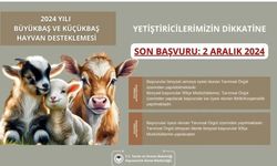 Aydın İl Tarım ve Orman Müdürlüğü’nden destekleme başvuruları için son gün uyarısı