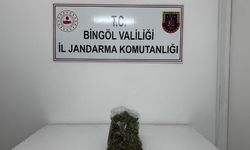 Bingöl’de uyuşturucu operasyonu