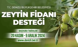 Denizli Büyükşehir çiftçilere 50 bin zeytin fidanı dağıtacak