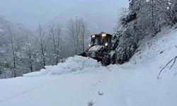 Doğu Karadeniz’de kış