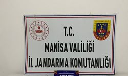 Jandarma, silah kaçakçılığına geçit vermiyor