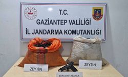 Suçüstü yakalanan zeytin hırsızlığı şüphelisi tutuklandı