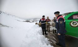 Tavuklara saldıran Vaşağa Erzincan jandarmasından şefkat