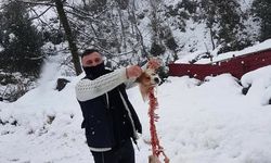 Aç kalan kurtların yediği köpekten geriye sadece iskeleti kaldı