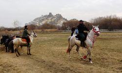 At çiftliğine ilgi büyük