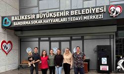 Bandırma Sokak Hayvanları Tedavi Merkezi 13 bin 459 hayvana şifa dağıttı