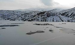 Erzincan’da soğuktan göller buz tuttu