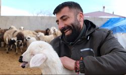 Erzincan’da yılın son kuzuları üreticilerin yüzünü güldürdü