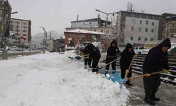 Hakkari Belediyesinin kar timleri görev başında