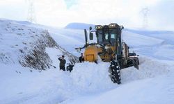 Muş’ta 210 köy yolu ulaşıma kapandı