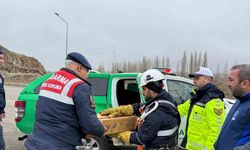 Muş’ta elektrik tellerine sıkışan puhu kuşu kurtarıldı