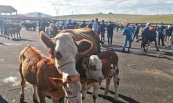 Bayburt şap karantinası sonlandırıldı