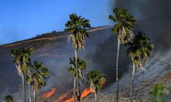 California’da çıkan yeni yangın kontrol altına alındı, 1 kişi gözaltında