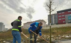 Esenyurt’un sokakları ağaçlarla süsleniyor