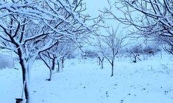 Tekirdağ Hayrabolu’da kar yağışı