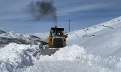 Tunceli’de kardan kapanan köy yolunu açmak için çalışmalar sürüyor