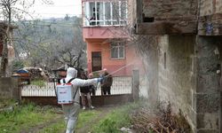 Atakum’da kahverengi kokarca ile mücadele çalışması