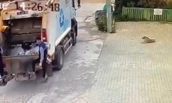 Çiğli Belediyesi çöp kamyonu köpeği ezdi, durmadan yoluna devam etti
