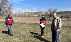 Kütahya’da tarla faresine karşı etkin mücadele çalışmaları