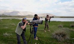 Niğde’nin kuş envanterine yeni bir kuş türü daha eklendi
