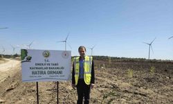 Çanakkale’de 100 bin fidanlık ‘Enerji’ ormanı
