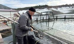 Deniz olmayan Tokat’ta balıkçıların bayram mesaisi