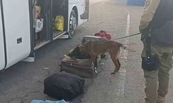 Erzurum’da narko operasyon