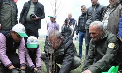 Kars’ta meyve ağaçları toprakla buluştu