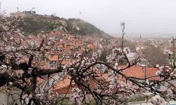 Kütahya’da badem ağaçları bu yıl zamanında çiçek açtı