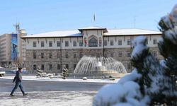 Sivas Nisan ayında buz tuttu