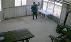 81 yaşındaki şahıs köy kahvesinde bakılan köpeğe dehşeti yaşattı