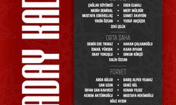 A Milli Takım’ın, ABD ve Meksika maçları aday kadrosu açıklandı