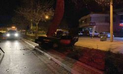 Ağaca çarpan otomobilin sürücüsü hayatını kaybetti