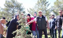 Ağrı’da "Orman Benim" kampanyası kapsamında fidan dikimi ve orman temizliği etkinliği düzenlendi