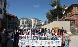 Ahlat’ta engelliler için farkındalık yürüyüşü