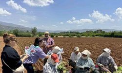 Başkan Büyükyapıcı, anneleri unutmadı