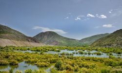 Beyhan’da fotosafari heyecanı