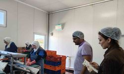 Beyşehir Gölüne kıyısı olan ilçedeki balık fabrikaları denetlendi