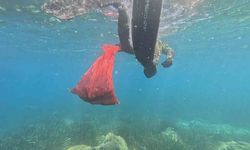 Bodrum’da deniz dibi temizliği başladı
