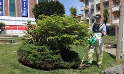 Darıca’da yeşil alanlarda bahar mesaisi