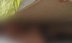 Diyarbakır’da kesinleşmiş hapis cezası bulunan zanlı baza altında saklanırken yakalandı