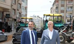 Elazığ Belediyesinden asfalt hamlesi