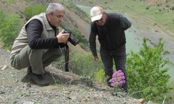 Elazığ’da Ulusal Biyolojik Çeşitlilik ve Envanter İzleme Projesi çalışması