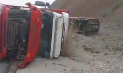 Erzincan’da beyaz eşya yüklü tır devrildi