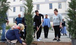 Hakkari’de fidan dikimi