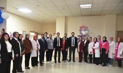 Halk Sağlığı Genel Müdürü Demirkol Van’daki sağlık merkezlerini gezdi
