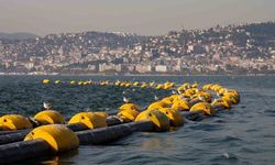 İzmit Körfezi’nde temizlik çalışmaları sonuç verdi: 2 saatte 100 kiloluk mırmır yakalandı