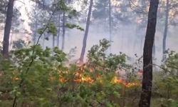 Kale’deki orman yangını rüzgarla birlikte ilerliyor